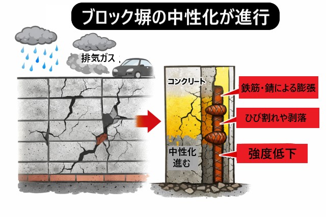 コンクリートの中性化　構図